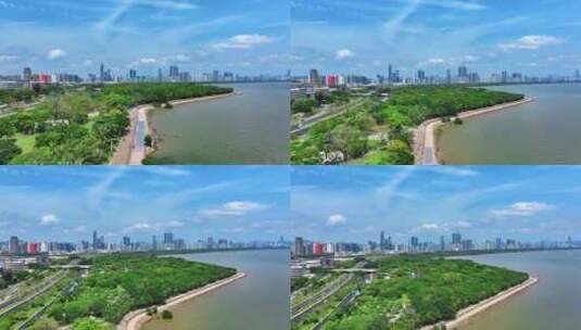 航拍深圳湾公园高清在线视频素材下载
