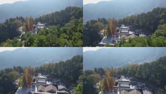 航拍南岳衡山福严寺古建筑群以及千年银杏树高清在线视频素材下载