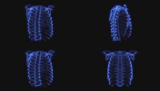 人体肋骨3d全息图高清在线视频素材下载