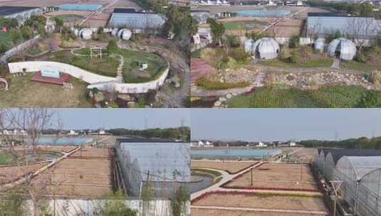 青浦花田里露营高清在线视频素材下载