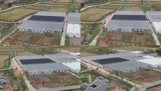 农业大棚种植基地俯瞰高清在线视频素材下载