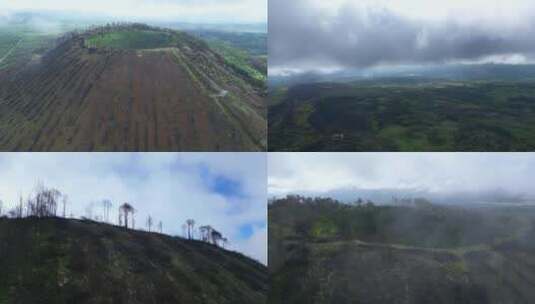 火灾后的火山森林 森林被火烧后高清在线视频素材下载
