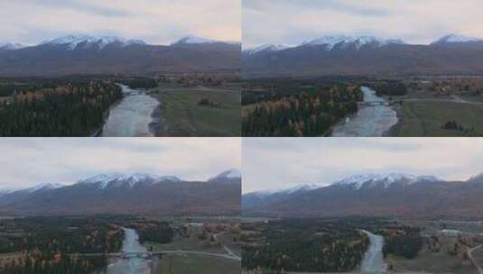航拍新疆喀纳斯河秋景高清在线视频素材下载