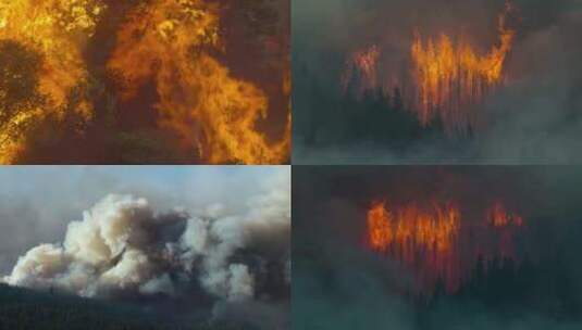 火灾森林大火烟雾浓烟灾难干燥消防燃烧树木高清在线视频素材下载