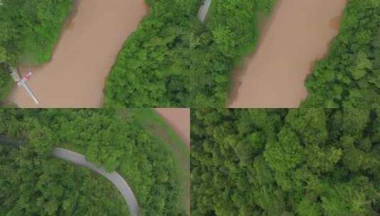热带雨林航拍2高清在线视频素材下载