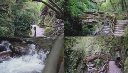 【4k】玉溪兴平哀牢山石门峡景区高清在线视频素材下载