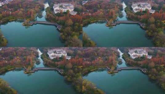 杭州西湖杨公堤浴鹄湾清晨光影秋色航拍高清在线视频素材下载