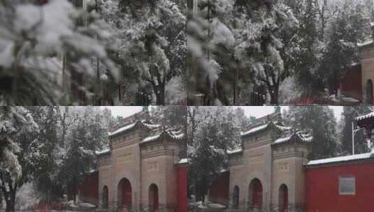 护国兴教寺雪景 寺院  唐三藏寺院高清在线视频素材下载