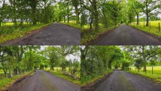 夏季的树林乡村公路高清在线视频素材下载