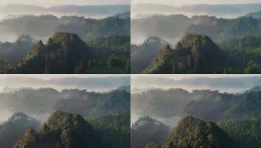 航拍森林清晨茶山云雾高清在线视频素材下载