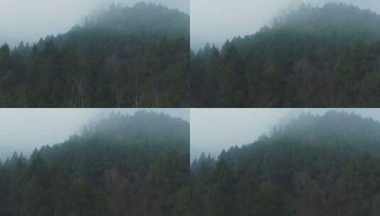 清晨薄雾山腰树林航拍高清在线视频素材下载