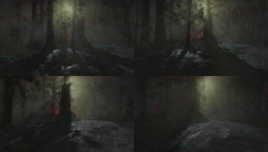 森林中的恐怖场景，神秘的树木，雾中的恐怖高清在线视频素材下载