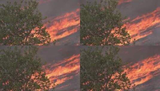野火在南加州的山丘上燃烧高清在线视频素材下载