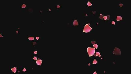 玫瑰花瓣粒子旋转特效视频高清在线视频素材下载