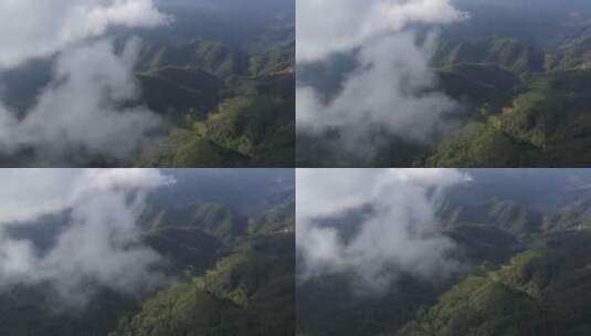 云雾和森林航拍高清在线视频素材下载