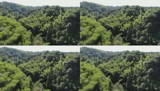 航拍绿色植物森林青山绿水高清在线视频素材下载