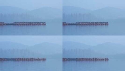 15 杭州 风景 古风 西湖 雾天 山水 水鸟高清在线视频素材下载