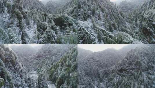 衢州七里雪景高清在线视频素材下载