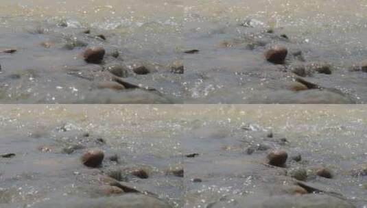 流水穿过石头（4k）高清在线视频素材下载