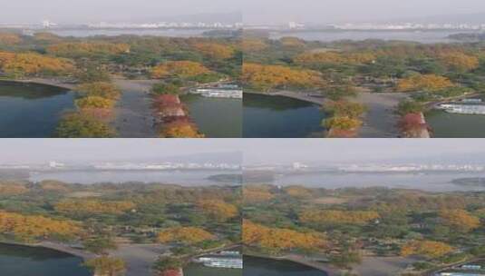 旅游景区南京玄武湖秋天竖屏高清在线视频素材下载