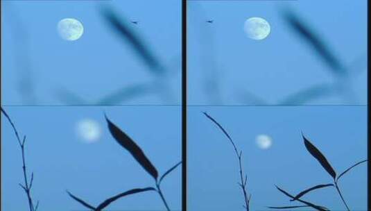 视频合辑 中秋节 圆月 竹叶 风筝 组镜高清在线视频素材下载