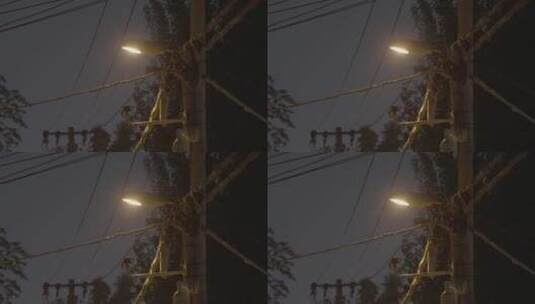 夜晚街道路灯 小区路灯高清在线视频素材下载