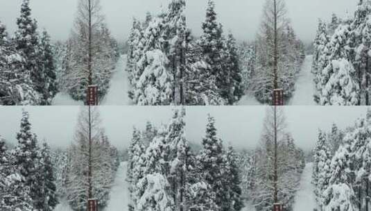 金华山森林露营基地小西湖林区冬季雪景航拍高清在线视频素材下载