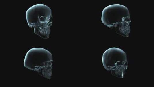 头骨旋转的3D医学动画高清在线视频素材下载