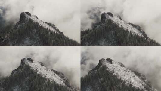 高耸入云的山林景观高清在线视频素材下载