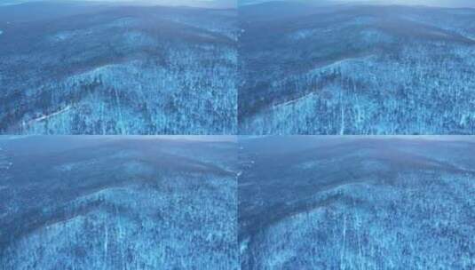 大兴安岭冬季银色山林暮色高清在线视频素材下载