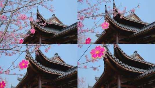 南宁青秀山樱花树中式园林庭院古建筑屋檐高清在线视频素材下载