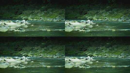 山谷河流河水山水高清在线视频素材下载