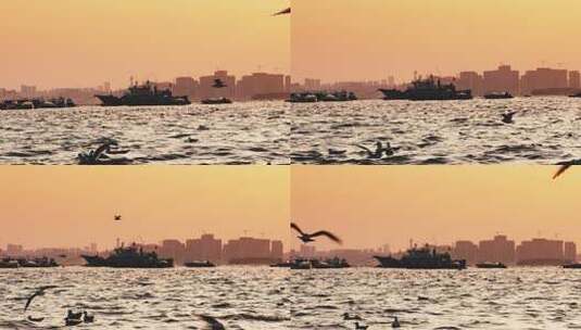 4K青岛栈桥海鸥日落风景高清在线视频素材下载