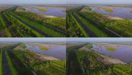 黄河流域 黄河河流高清在线视频素材下载