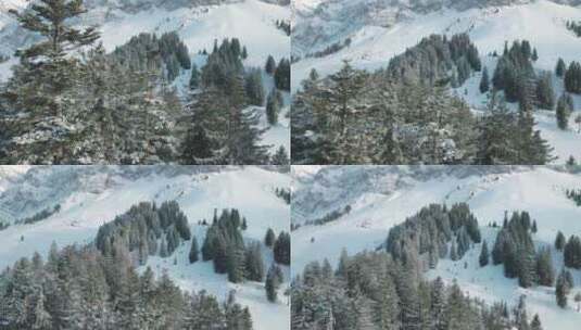 阿尔卑斯山中的瑞士山桑蒂斯，有新鲜的雪和雾。美丽的雪山和树木。高清在线视频素材下载