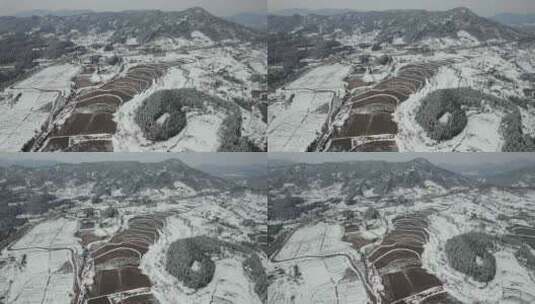 南方农田冬天雪景高清在线视频素材下载