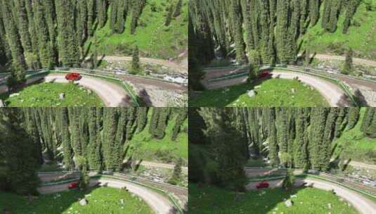 越野车穿梭在新疆伊犁恰西森林公园夏塔环线高清在线视频素材下载