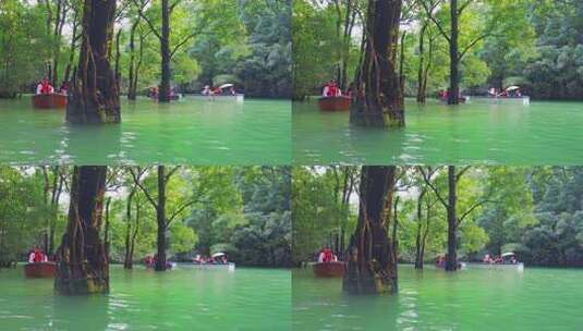 森林河流水上森林贵州旅游风光高清在线视频素材下载