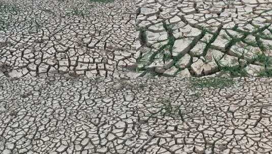 干旱旱地水库干涸饮水困难灌溉取水高温蒸发高清在线视频素材下载