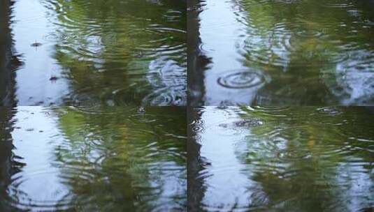 雨水滴落水中泛起层层涟漪高清在线视频素材下载