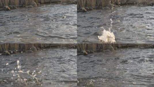 水 河流 慢动作 河流 小溪 水流 河道高清在线视频素材下载