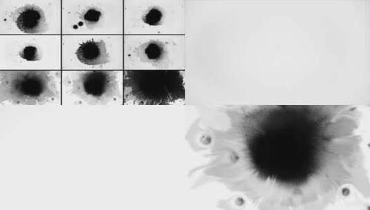 9组AE水墨素材合集高清AE视频素材下载