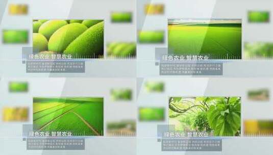 绿色农业生态图文展示高清AE视频素材下载