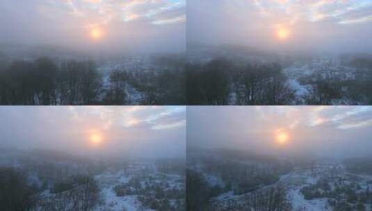 日出时分冬天雪后雾中树林的景象高清在线视频素材下载