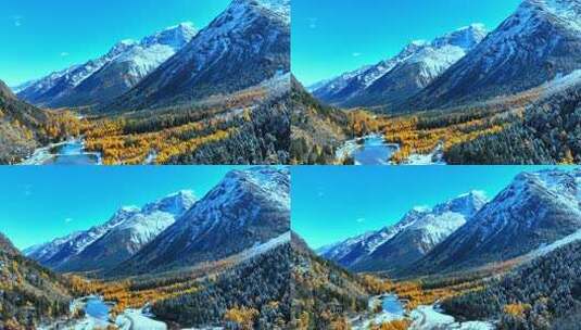 雪山下多彩树林与湖泊相映的美景高清在线视频素材下载