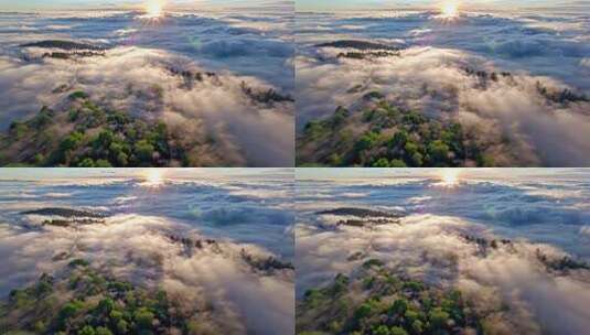 森林阳光云海森林云雾缭绕树林山大自然风景高清在线视频素材下载