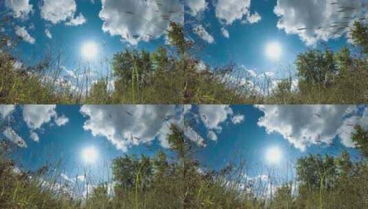 云朵在有树木的风景区上方高清在线视频素材下载