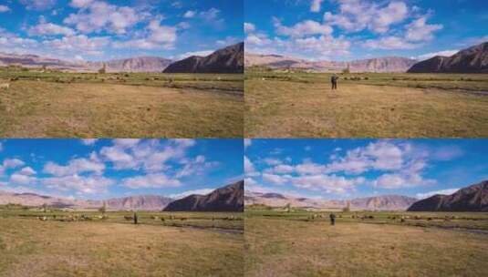 新疆帕米尔高原牧民放牧高清在线视频素材下载