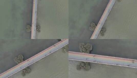 无锡贡湖湾湿地公园彩虹桥4K航拍原素材高清在线视频素材下载