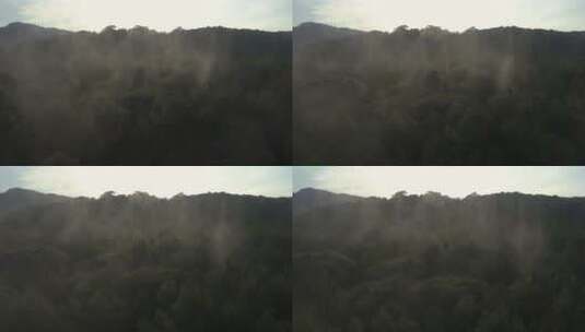 从空中看到的被薄雾覆盖的森林高清在线视频素材下载